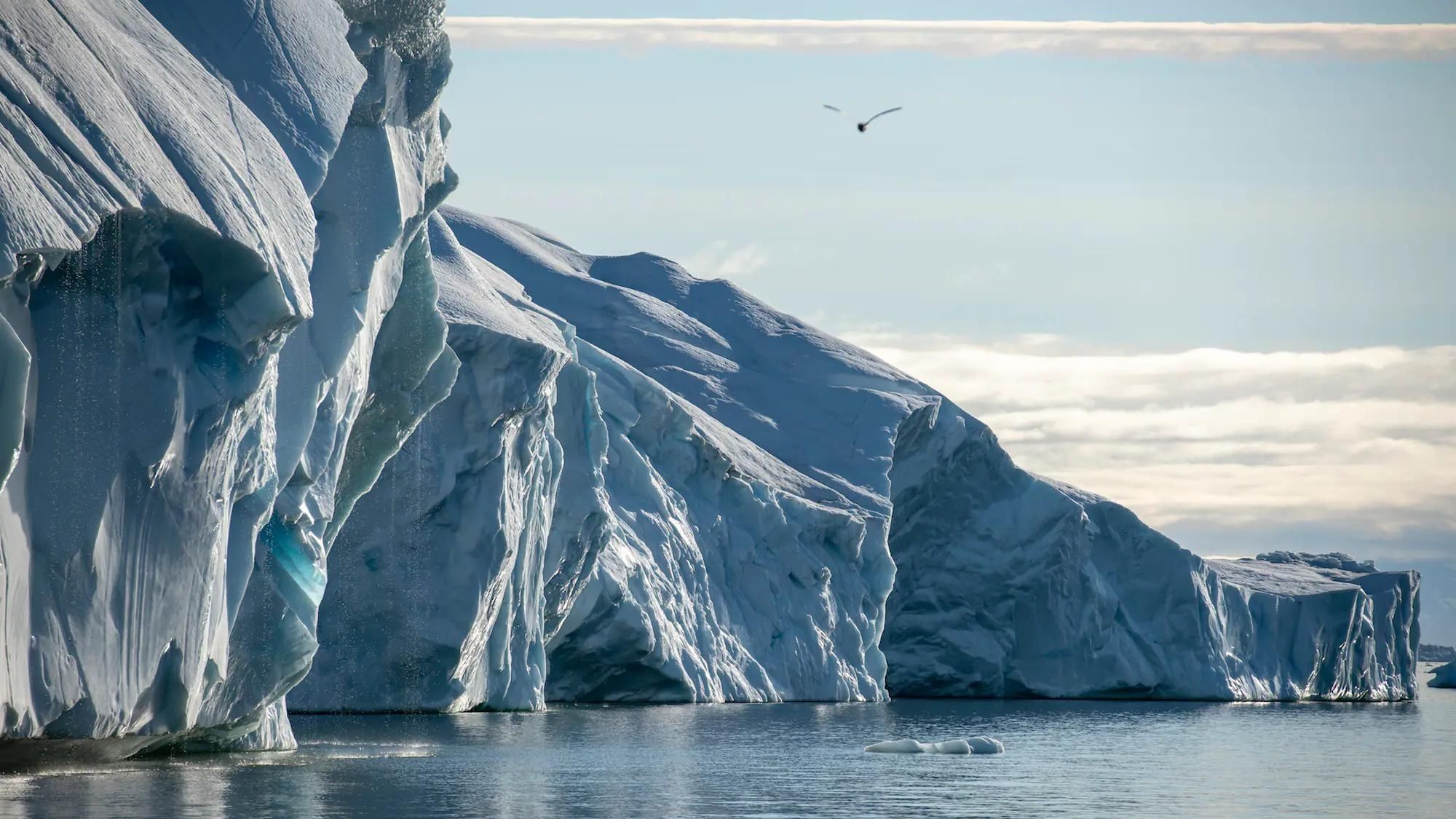 Arctic’s shrinking sea-ice causing planet to warm faster