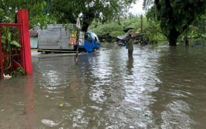 Leptospirosis Surge With 15 Deaths Recorded In Bacolod City