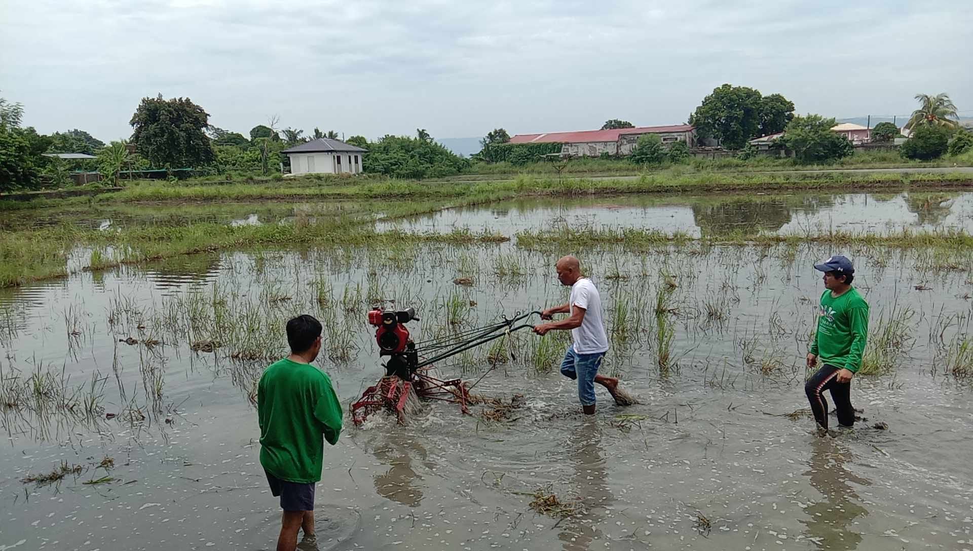 NIA: Retirees turning to agriculture