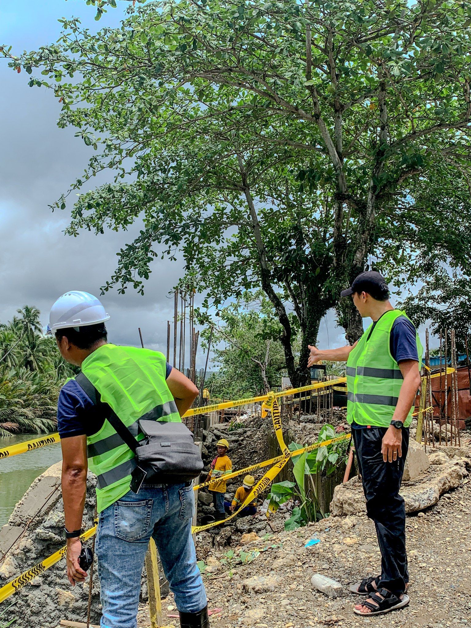 Borongan City plants bamboos for flood protection