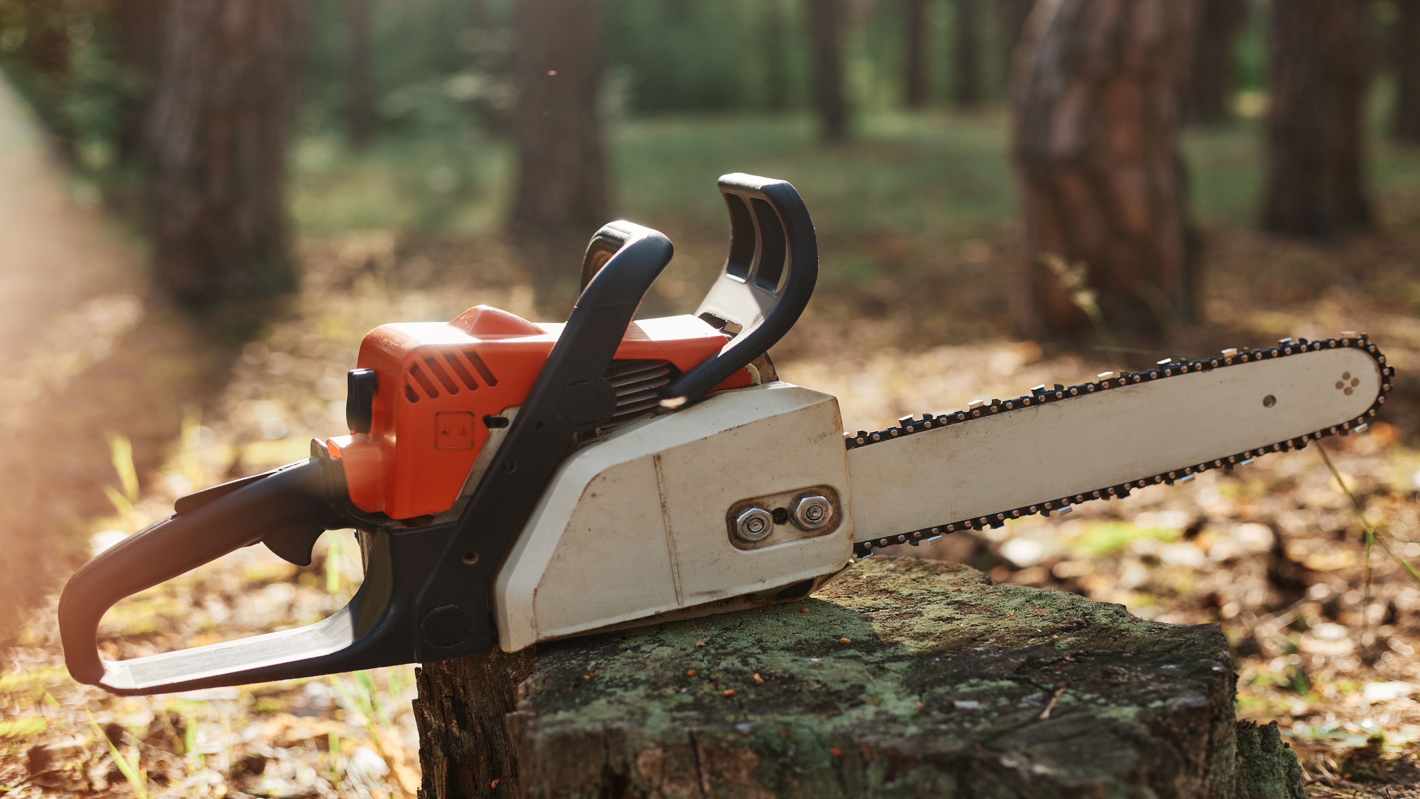 DENR, nais i-regulate ang pagbebenta ng chainsaw photo from Freepik