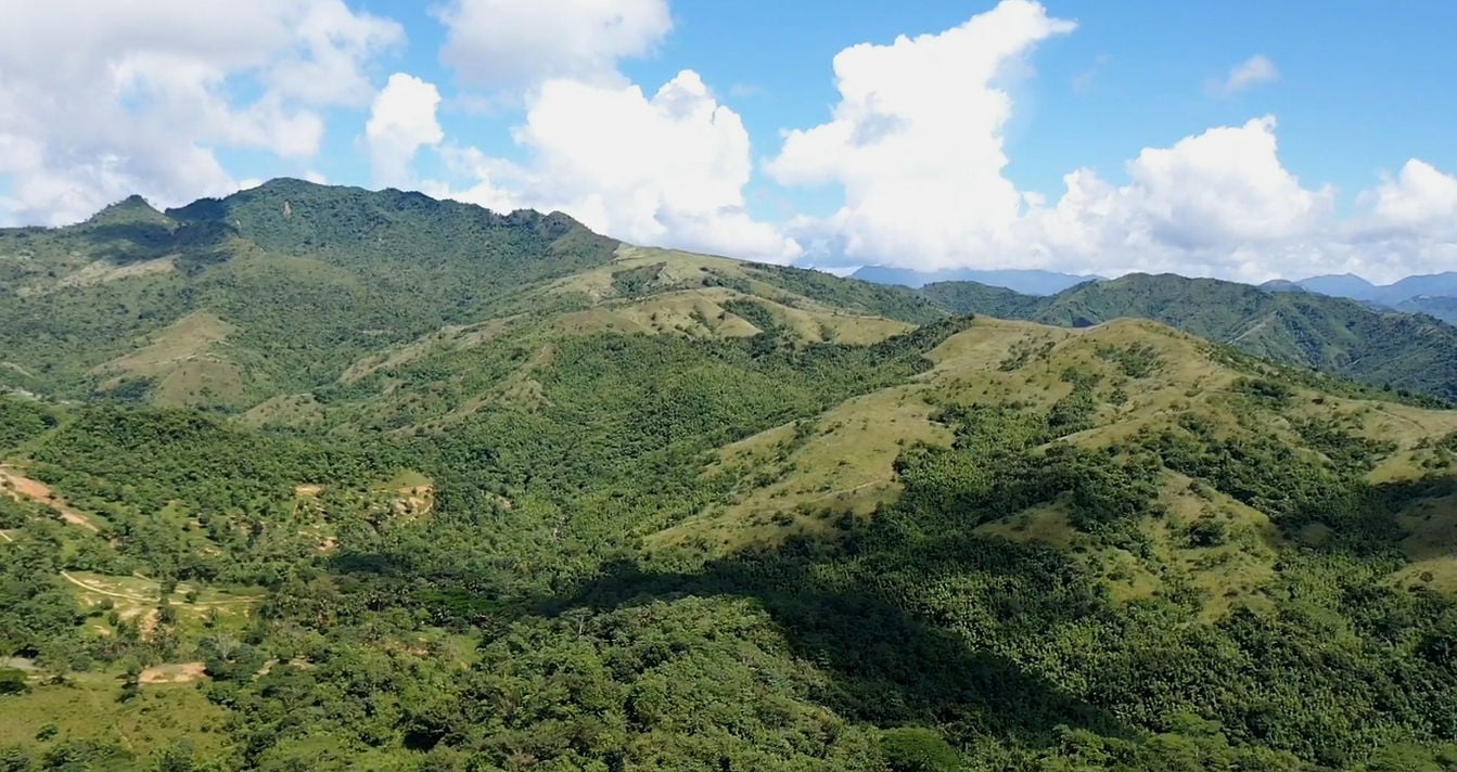 Mga taga-Infanta, umalma sa pagpuputol ng puno para sa wind project