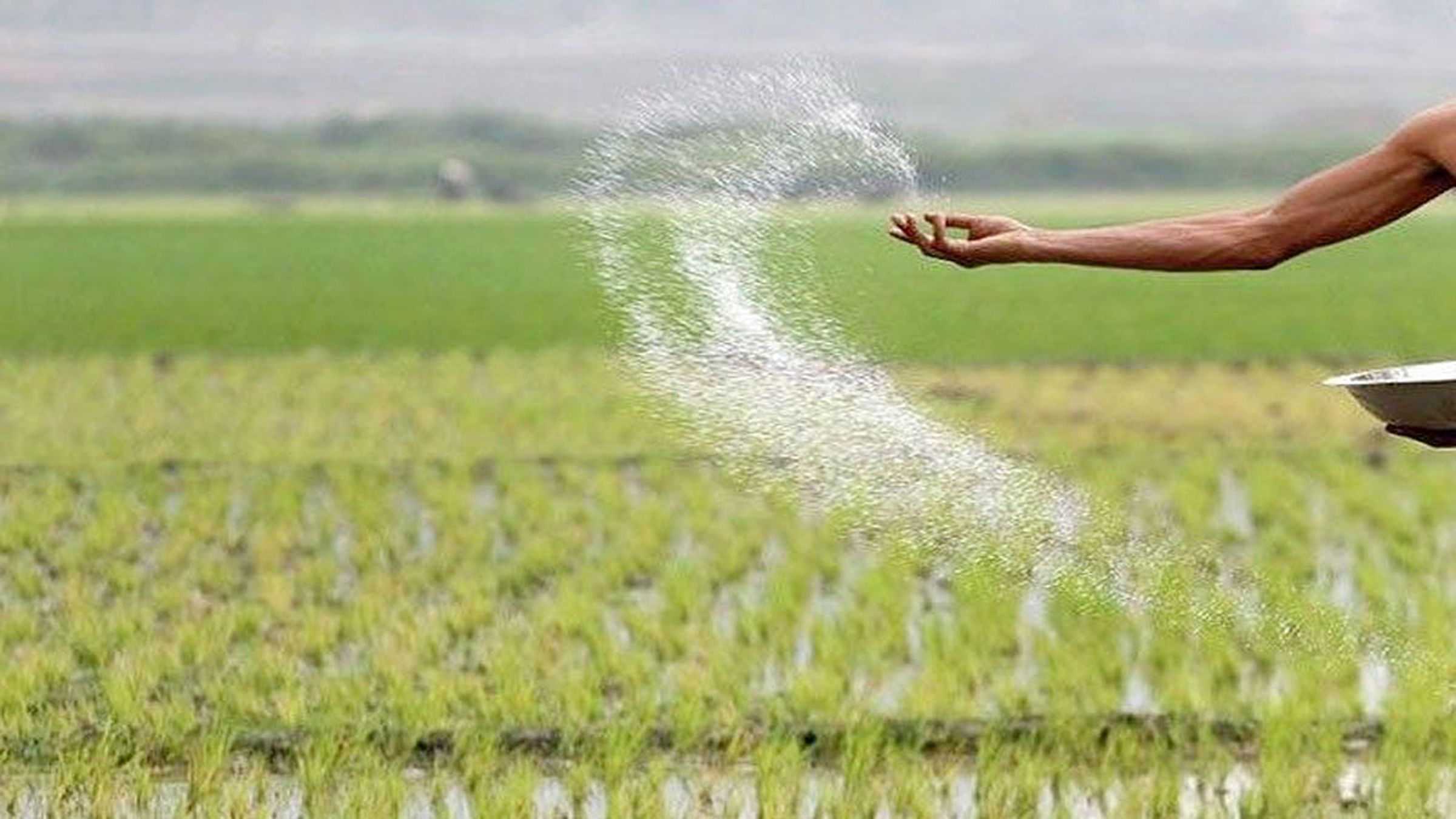 DTI explores ways to reduce fertilizer prices