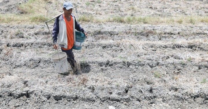 Lower farm output from El Niño to hike inflation 
