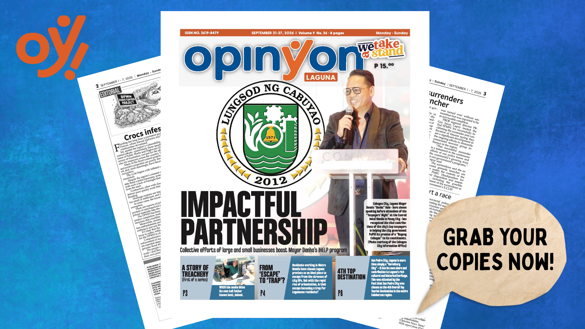 IMPACTFUL PARTNERSHIP IMPACTFUL PARTNERSHIP