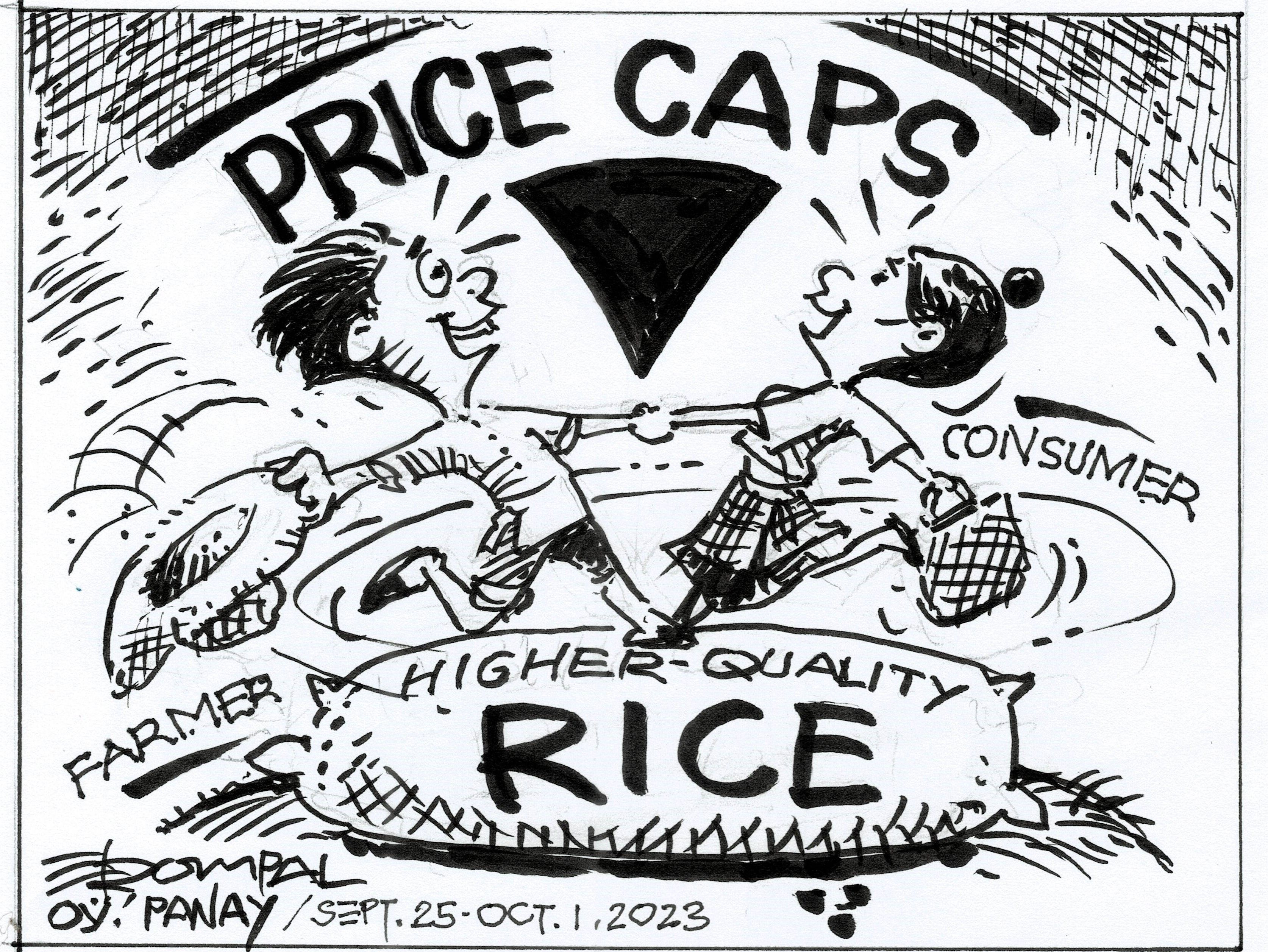 How Price Rice Caps Affects Provincial Farmers