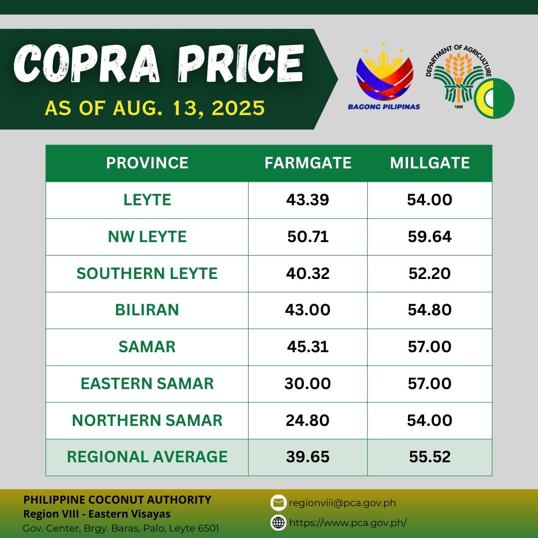 EV copra prices soften but better than in 2024