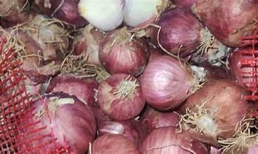 Smuggled onions sold online?