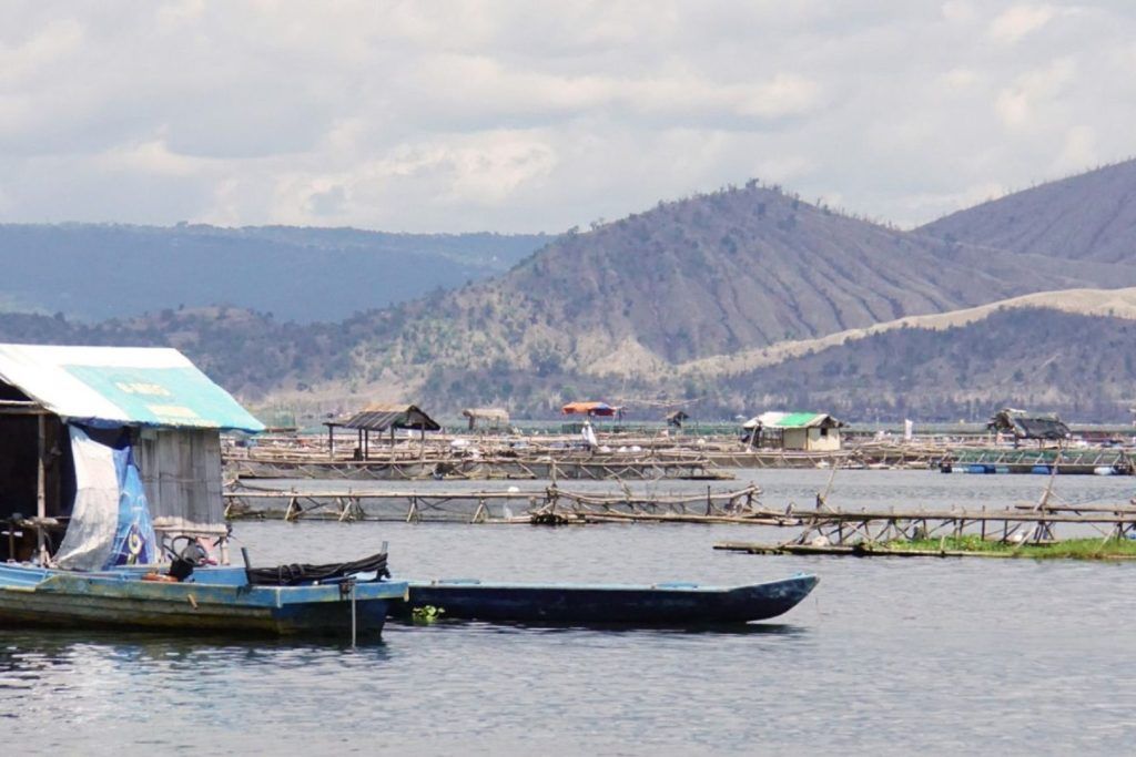 Mga isda sa Taal Lake, ligtas kainin