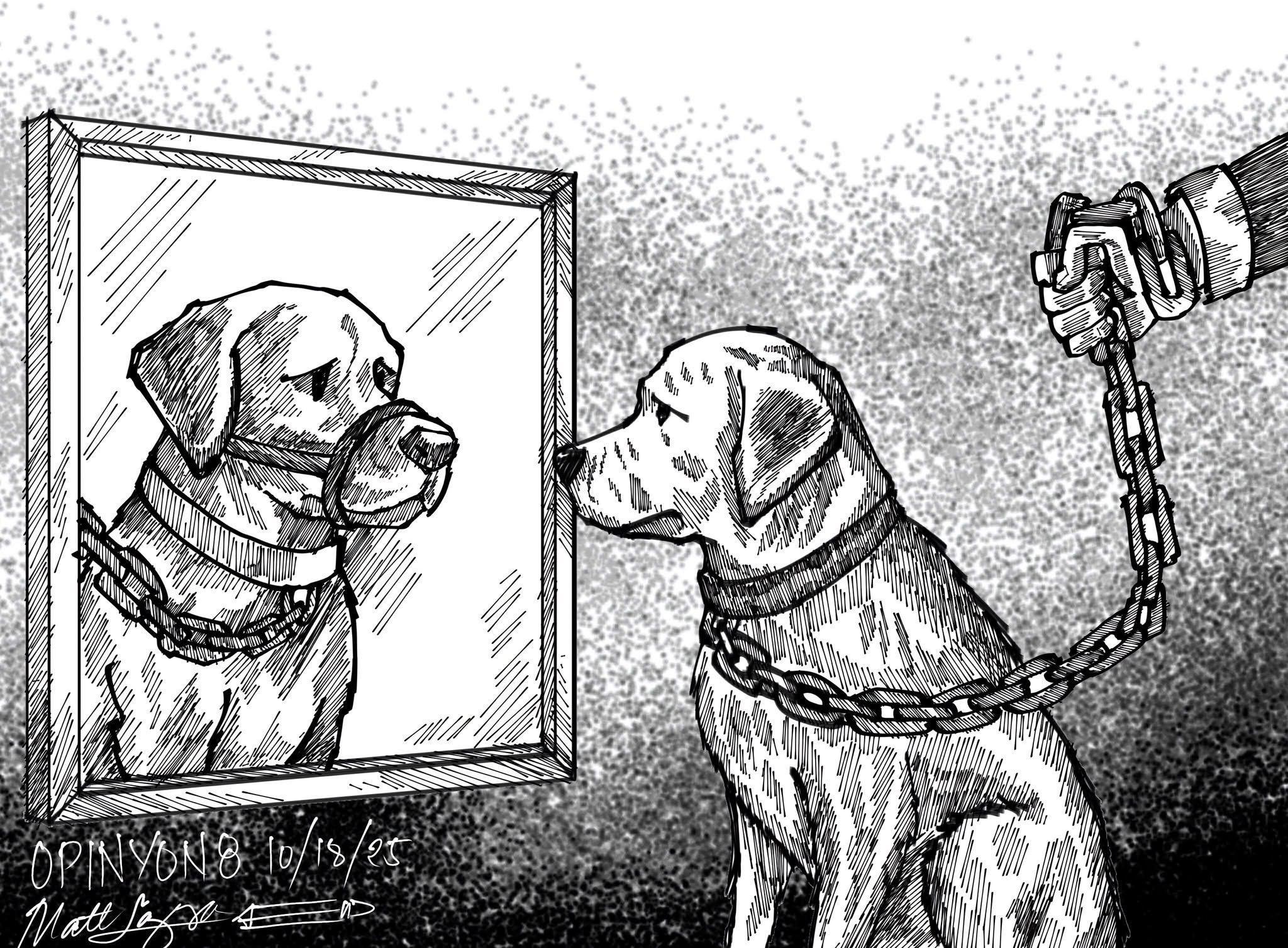 When the watchdog guards itself
