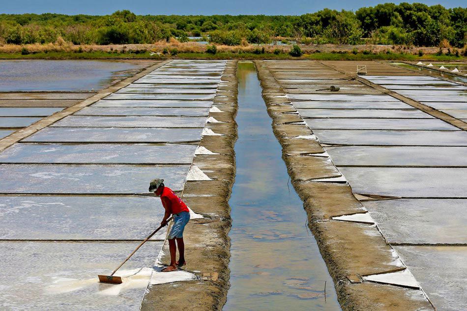 Revitalizing the salt industry in Antique