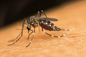 PH faces dengue outbreak