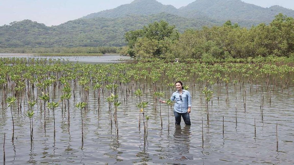 Legarda pushes for “building with nature” approach photo The Manila Times