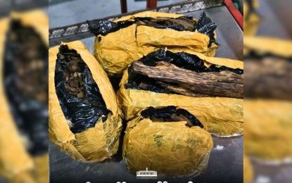 P9.3-M worth of agarwood seized by BoC