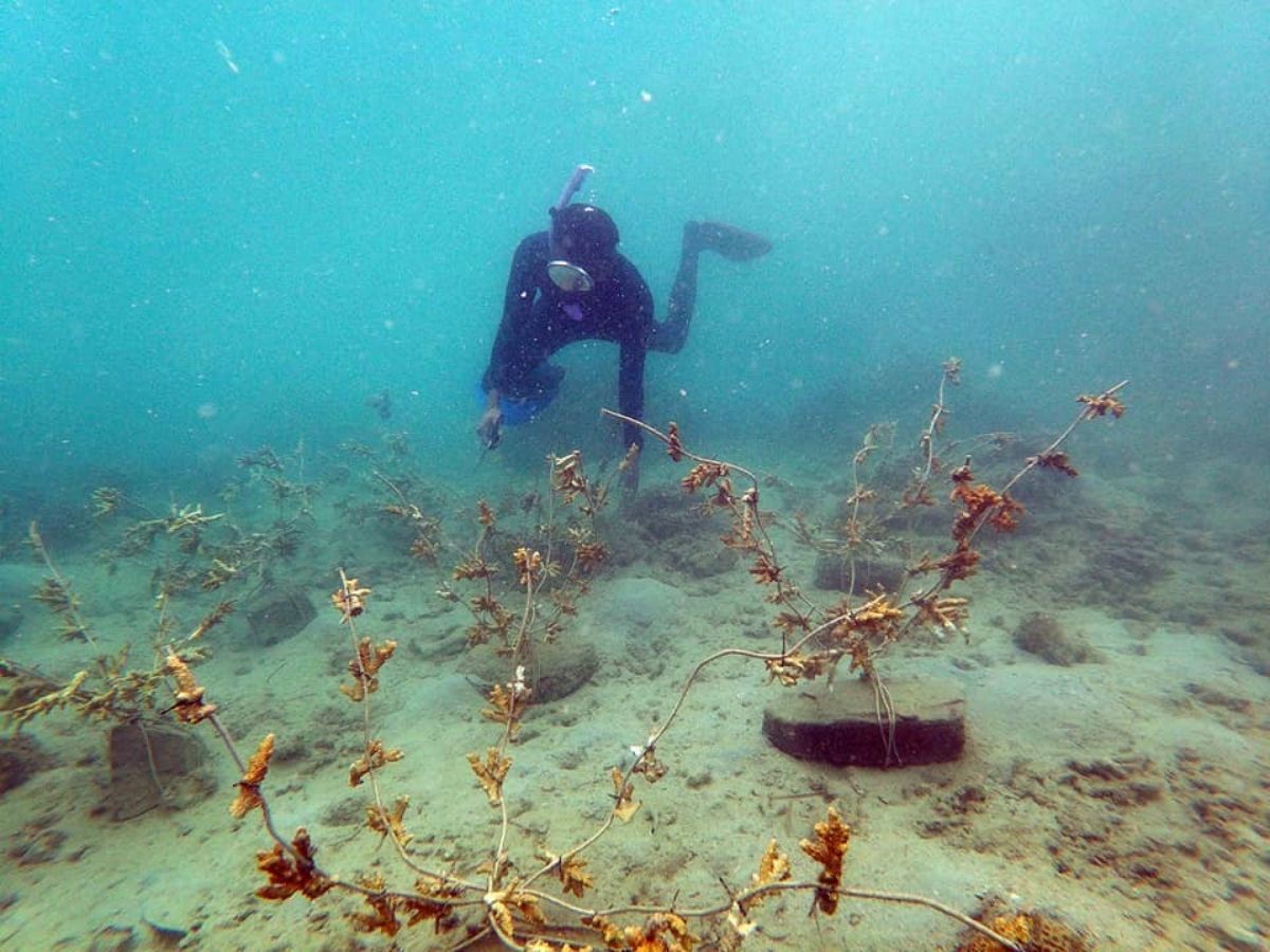 Photo from Mambulao Artsncrafts