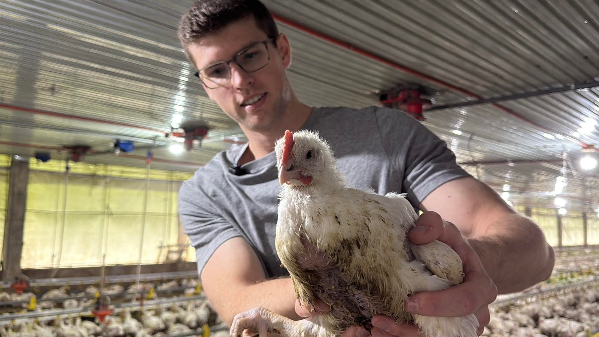 Canadian banker, magmamanok na sa Quezon