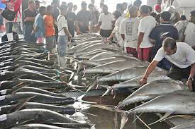 EV sees 8.9% drop in fishery output