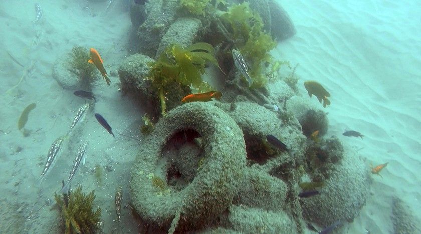 Tires are for the roads, not in the seabed as fish habitats photo from Los Angeles Times
