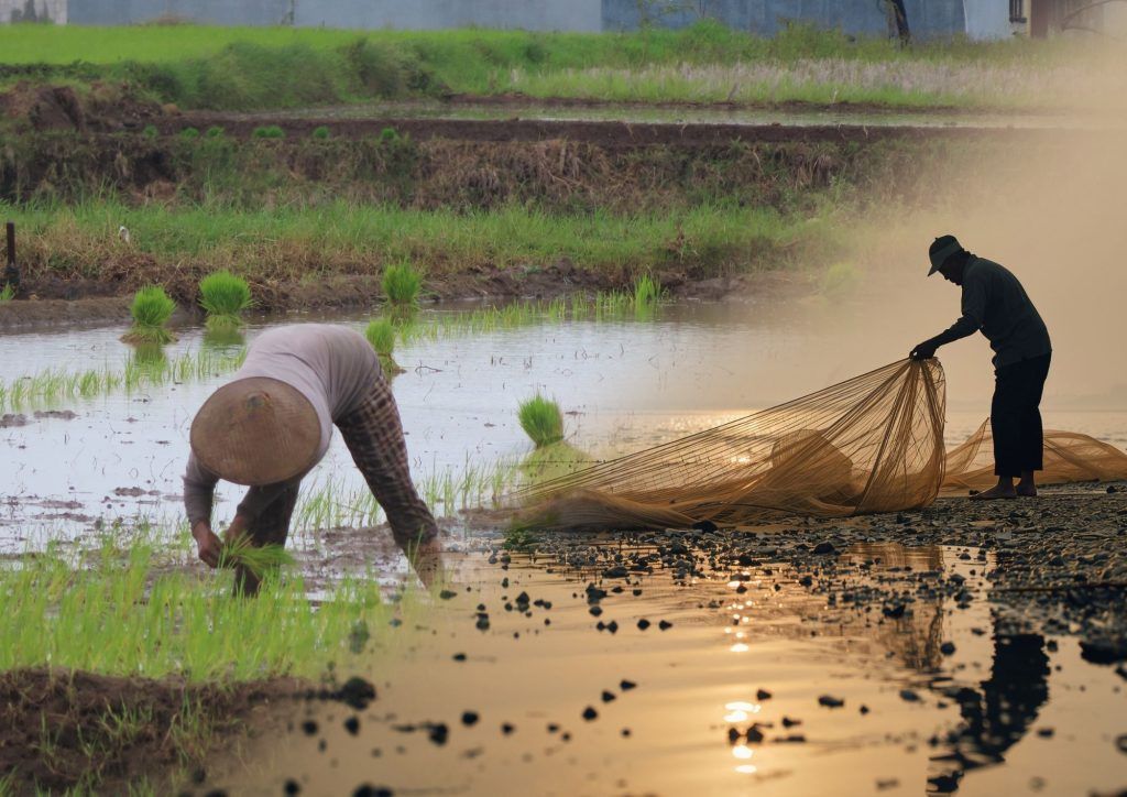 EV fishermen get fuel subsidies