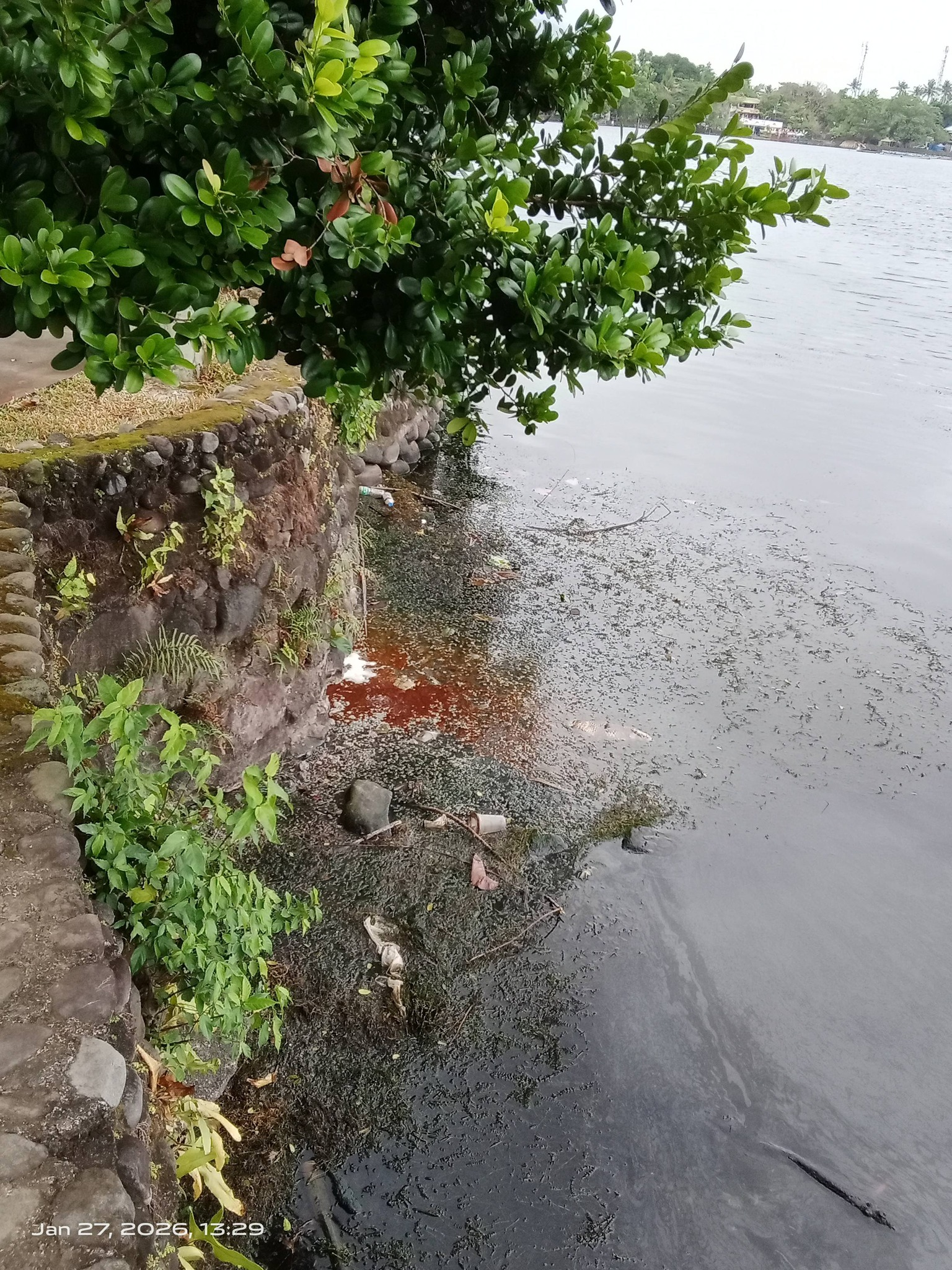Sampaloc Lake, ginawang imburnal?