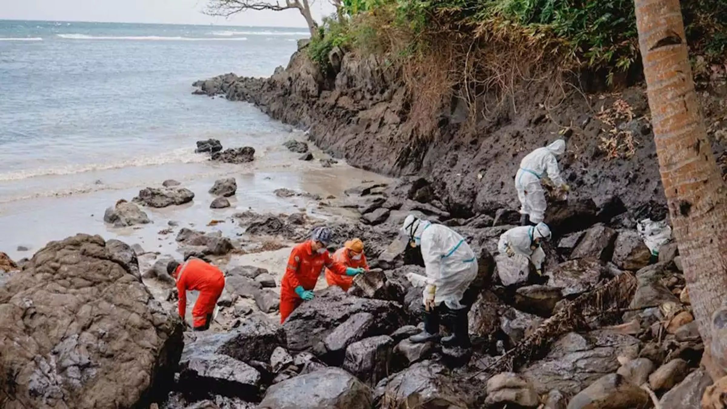 Watchdog tells govt. to report true extent, impact of oil spill