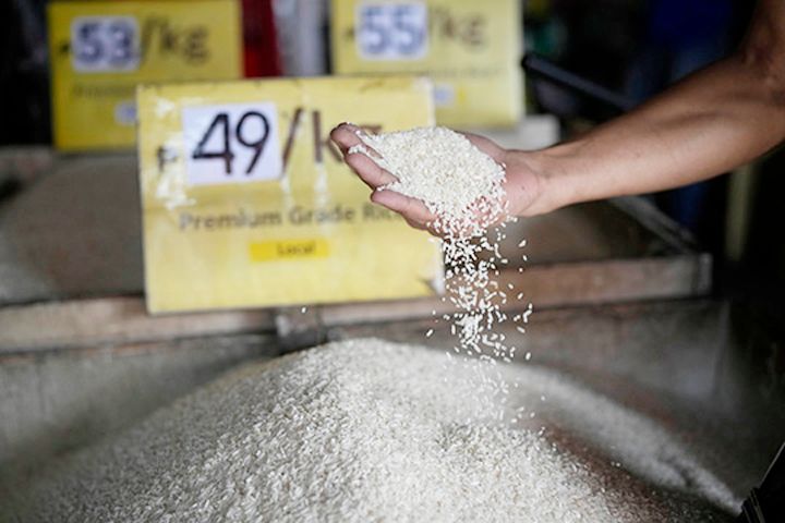 Rice output falls, imports to rise