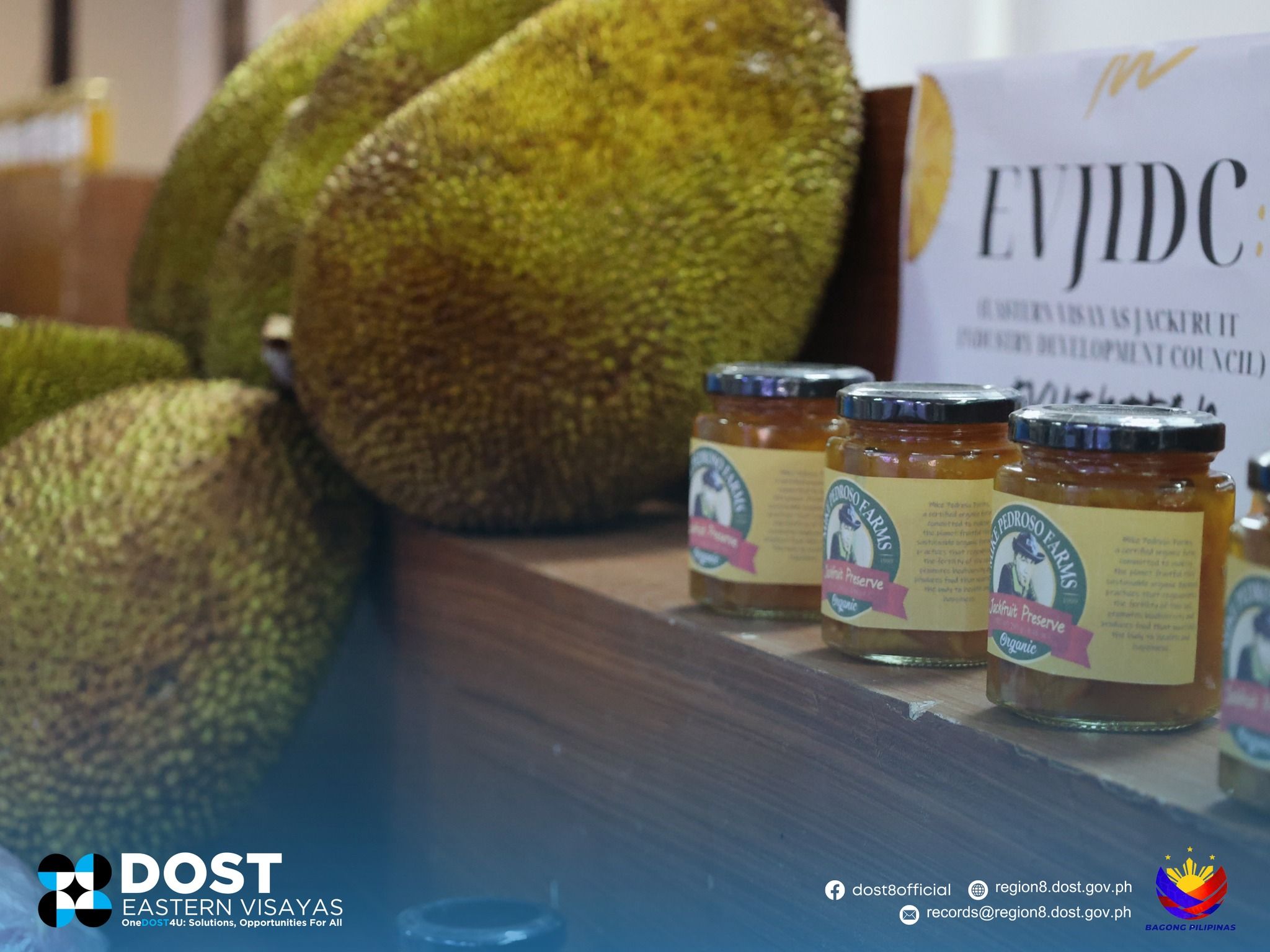 1st Regional Jackfruit Summit opens in Palo By Joyce Kahano