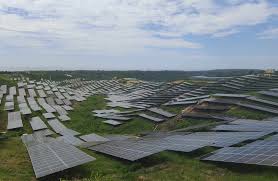 EV Bets on Renewables to Foster Economic Growth