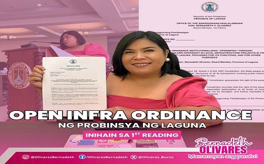Board Member Olivares files 'Open Infra' ordinance  