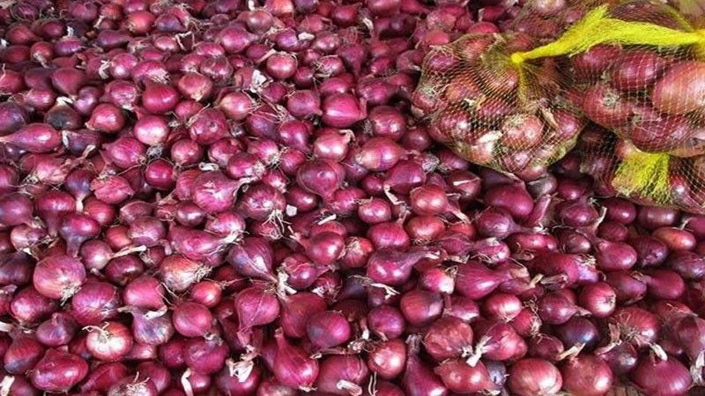 Govt. must bring onions to the market to reduce prices