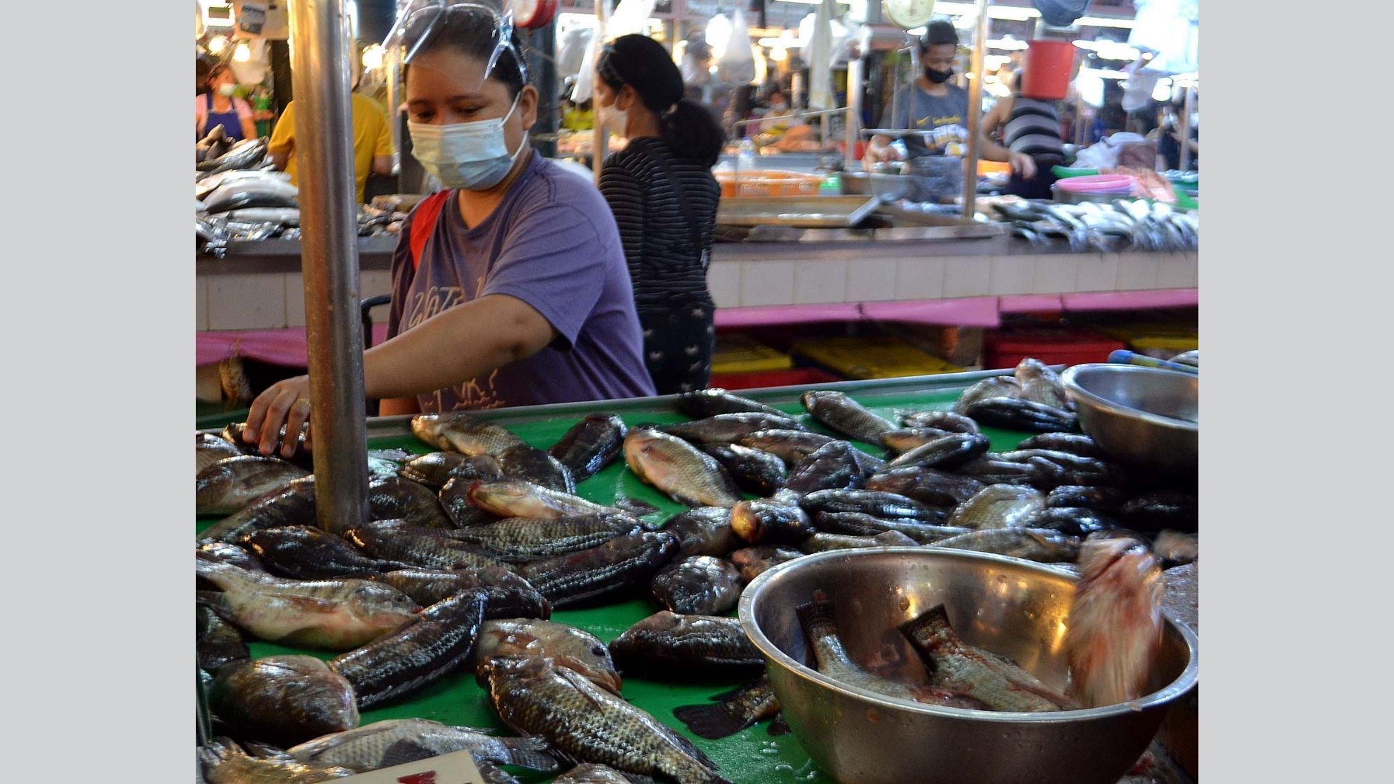 FISH KILL IN TAAL LAKE SHOULD NOT AFFECT PRICES photo by Mike Taboy