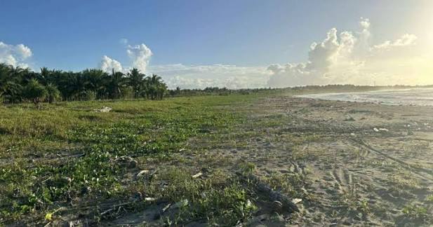 New airport in N. Samar soon?