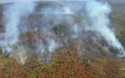 OCD warns vs. grassfire threat