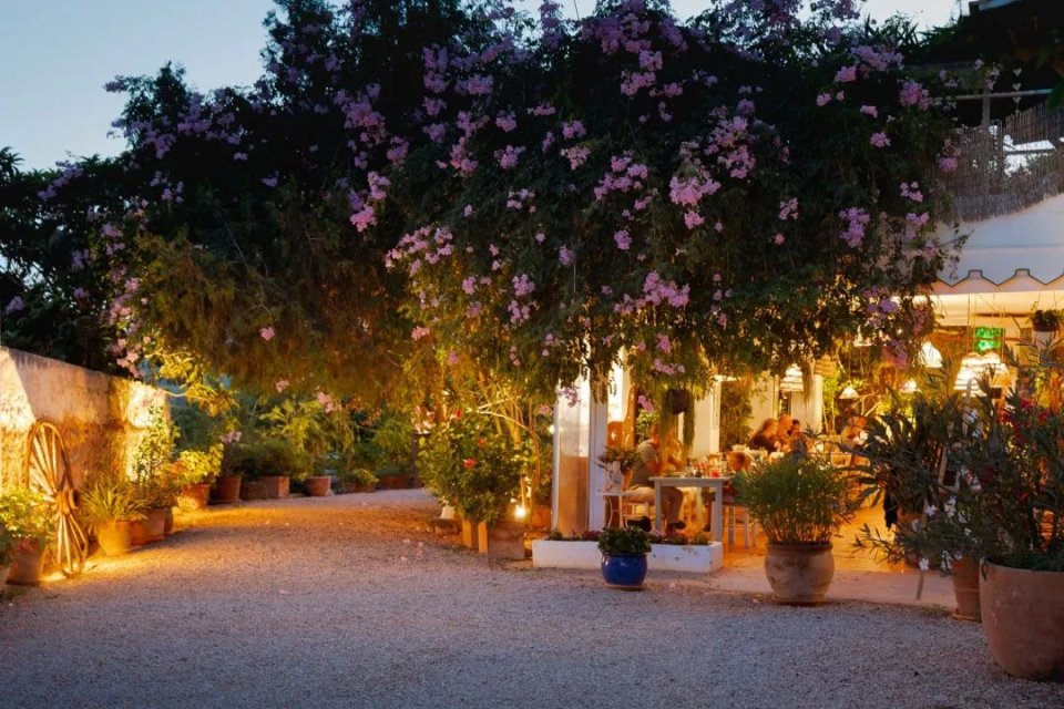 ibiza corporate trip dinner la paloma 1