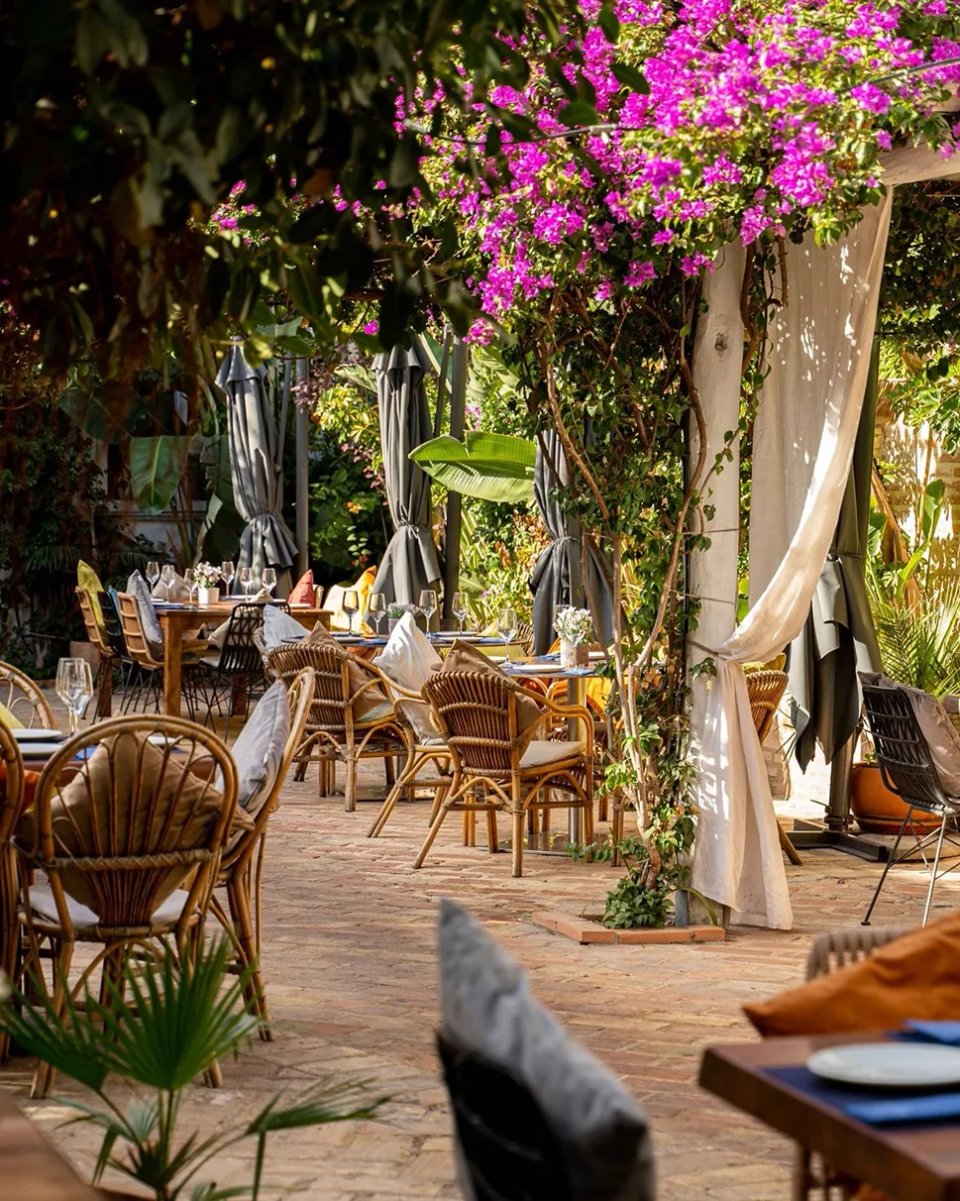 valencia company offsite restaurant for lunch in patacona 1