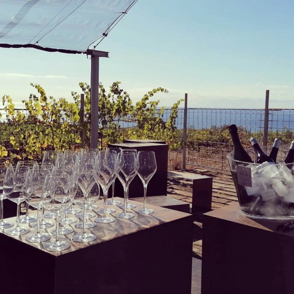 company trip barcelona_teambuilding in winery Alella