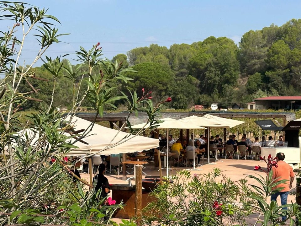 incentive travel barcelona secwise visit torello 1