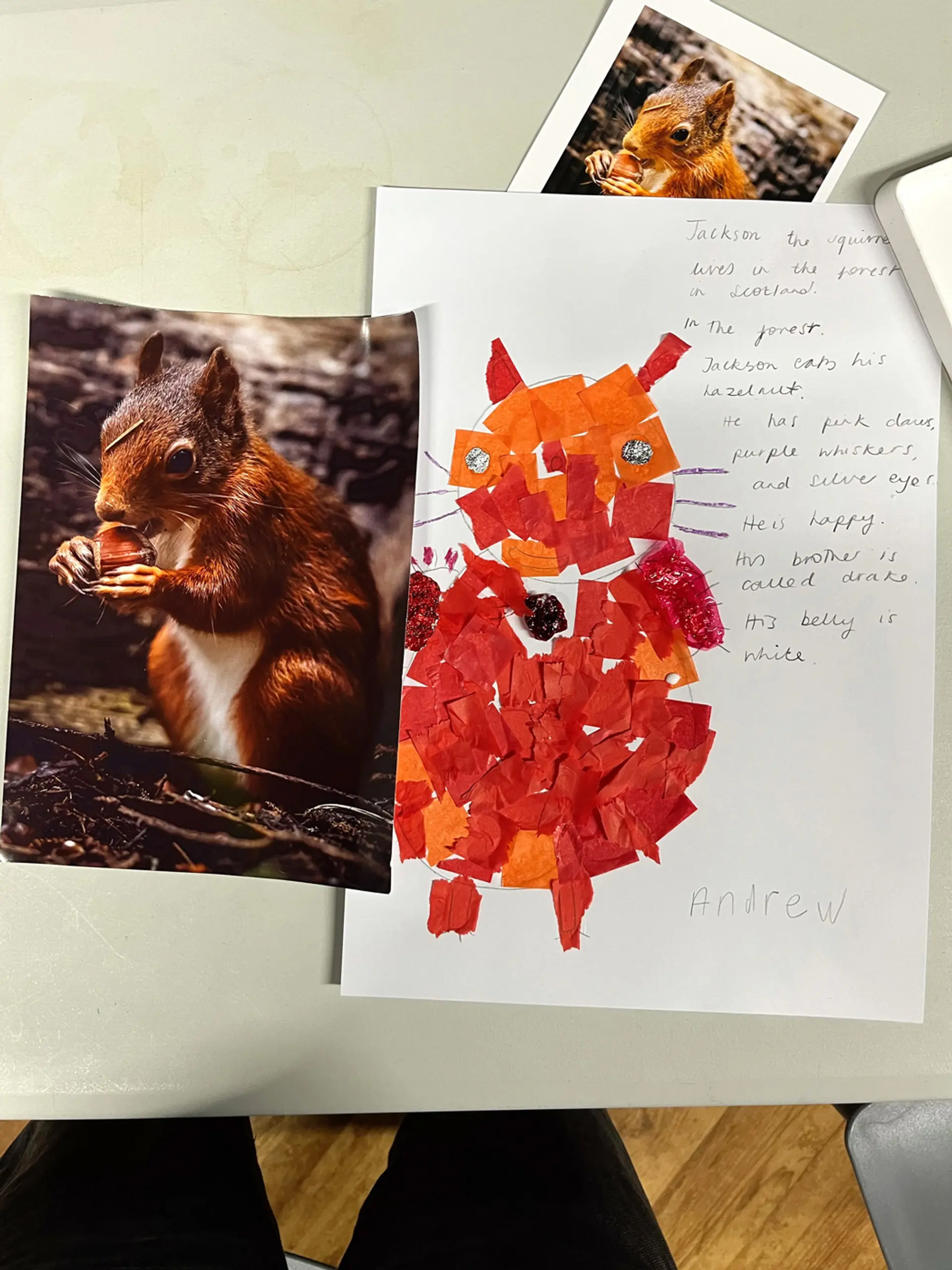 A photograph of a red squirrel eating a nut is beside an artwork of the same squirrel. He is made from red and orange tissue paper, with chocolate quality street wrappers for his paws and silver foil for his eyes. 