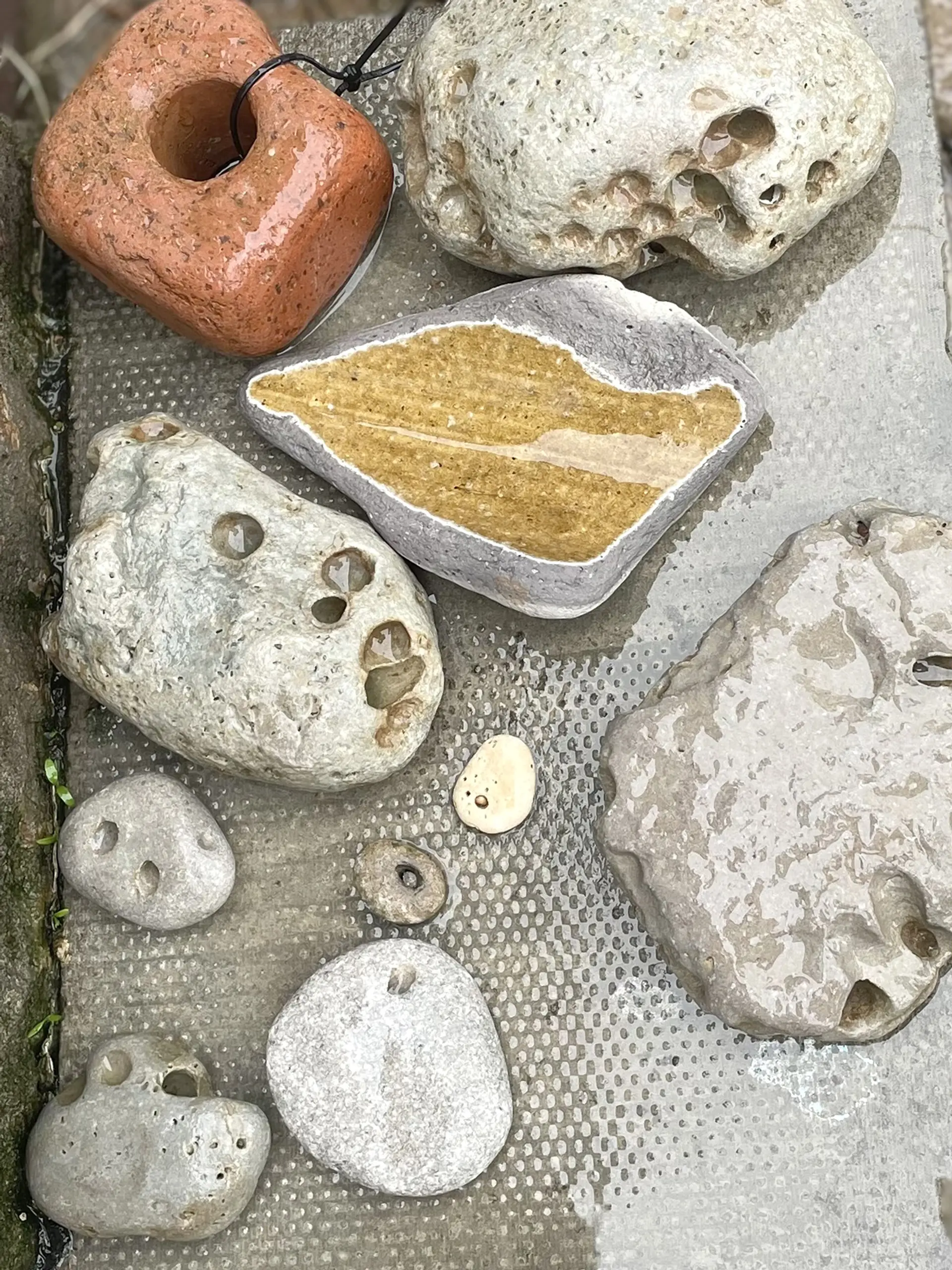  Beach finds Outside, rocks from the back are arranged on a concrete step. They are wet with rain.