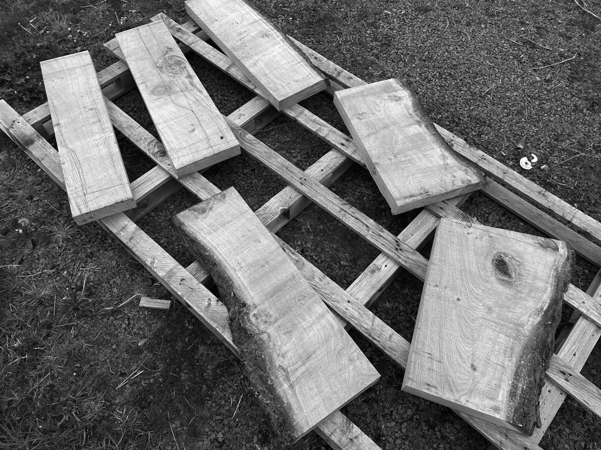 A greyscale photograph shows a lattice-like wooden structure lying on an earthy surface. Similarly- sized pieces of cut wood that still have pieces of tree-trunk attached, are laid out across the lattice.