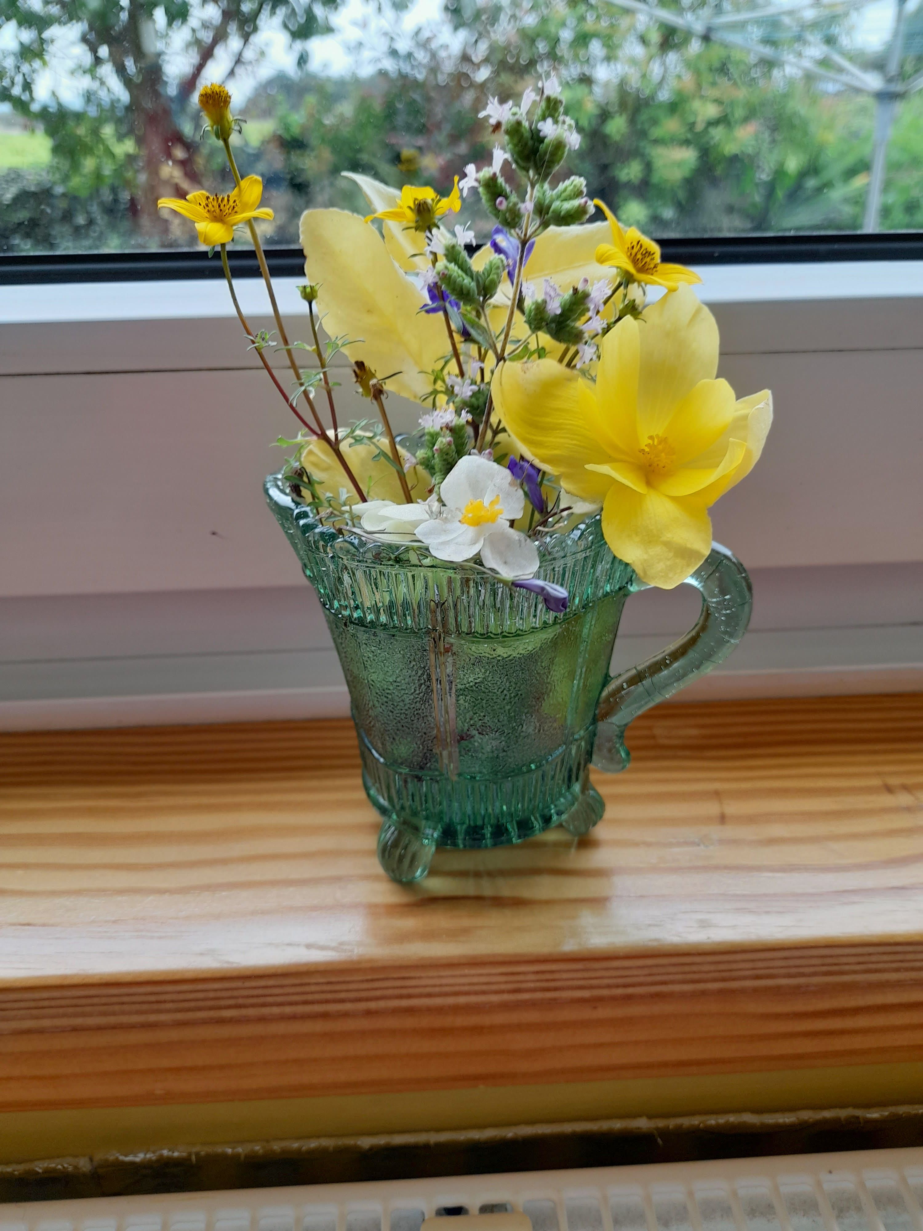  green glass jug on the window sill, filled with flowers of Spring.