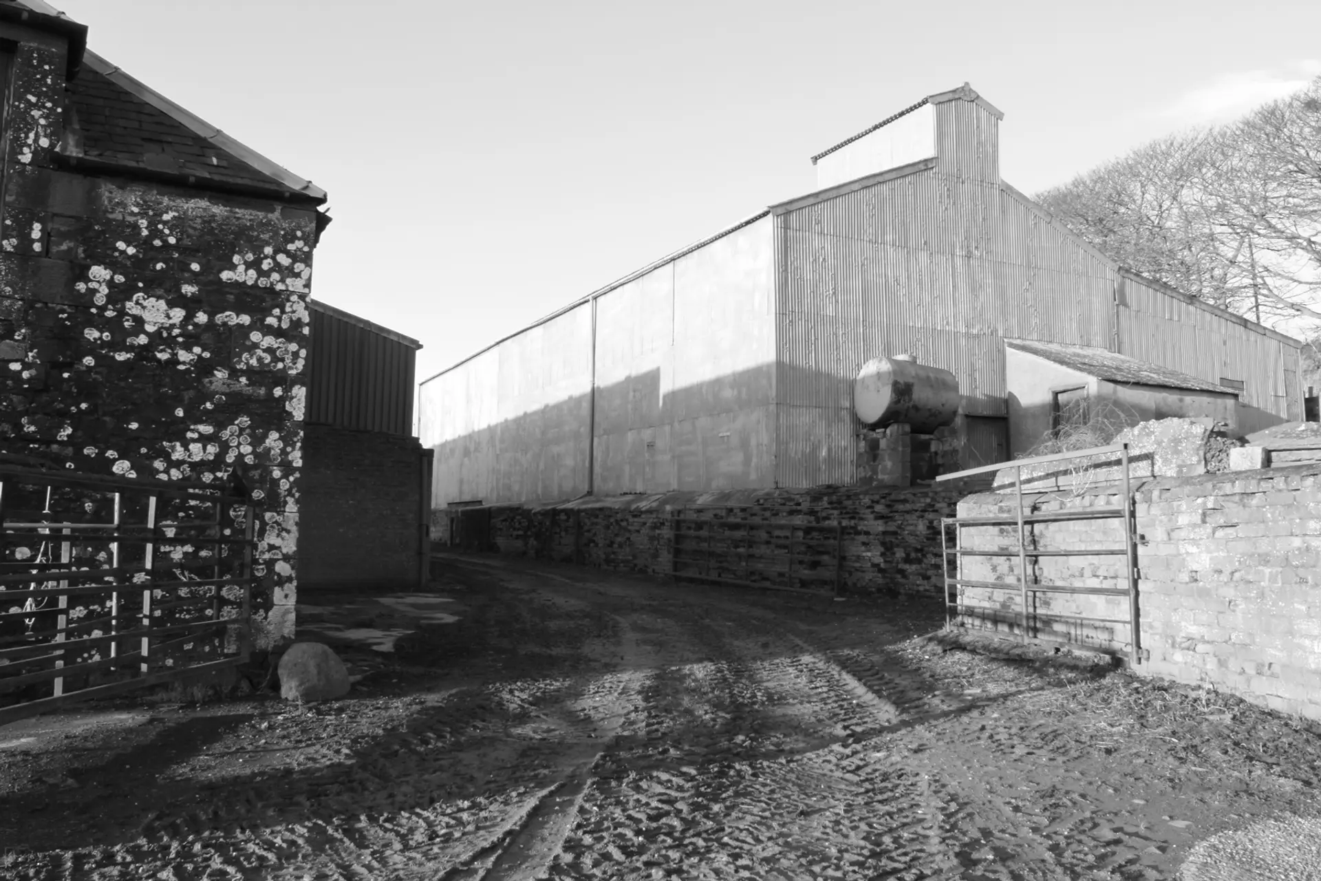 A grayscale image of a farm yard, the ground is wet and muddy and the path leads us through an open metal gate to a corrugated barn.