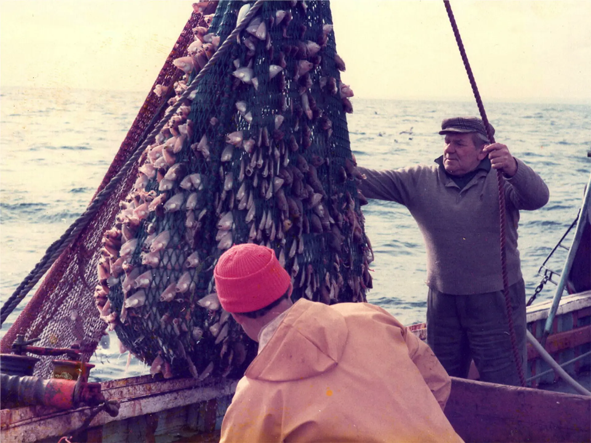 An image from the past. Two fishermen are bringing up a net full of fish onto their boat. One wears a yellow fisherman waterproof and a red beanie hat. The other wears a woollen jumper and a flat cap. 