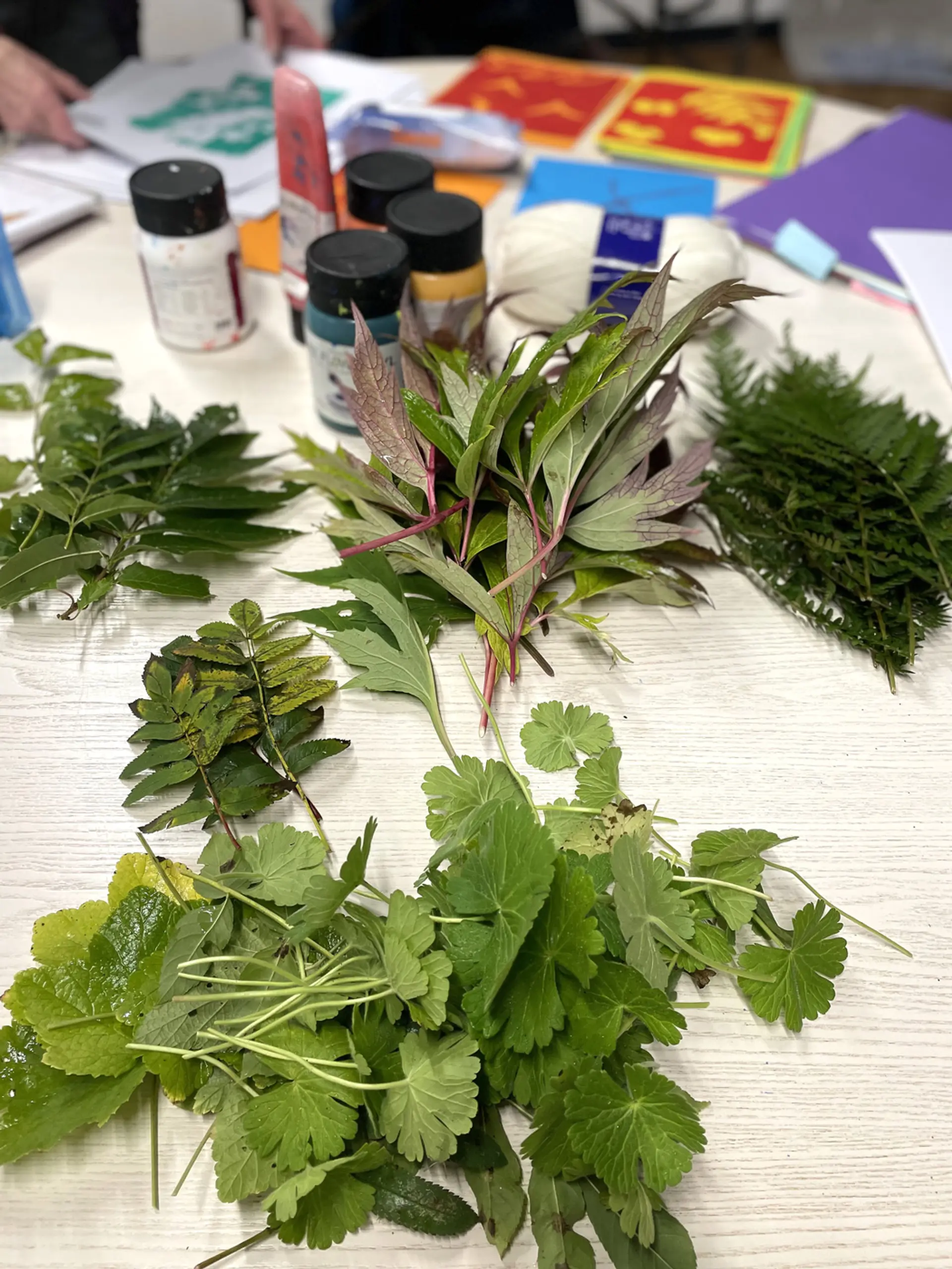 A variety of different green leaves are arranged in bunches on a tabletop in an art class. Tubs of paints and coloured paper can be seen in the background.