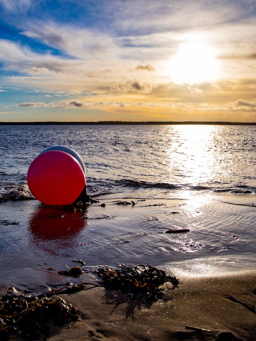 A cold-looking, wintery beach, the sun behind wispy clouds reflecting onto the water, the sky bright blue, and a bright orange buoy and seaweed on the sand.