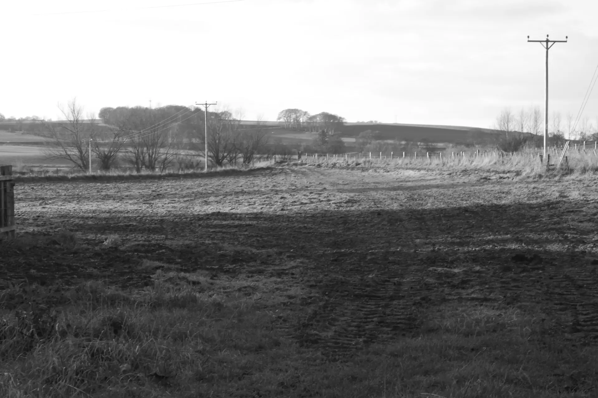 A grayscale image of a field, telegraph poles line the boundary of the field, and the hills gently rise in the distance.