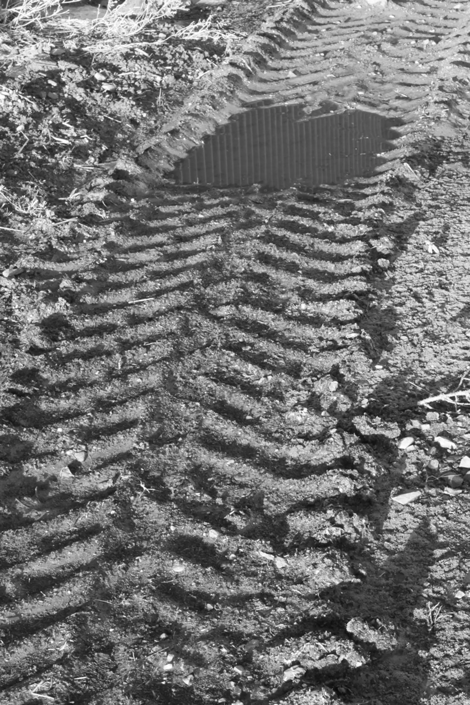 A grayscale image of tractor tyre marks left in muddy ground. A puddle of water has collected in a dip. 