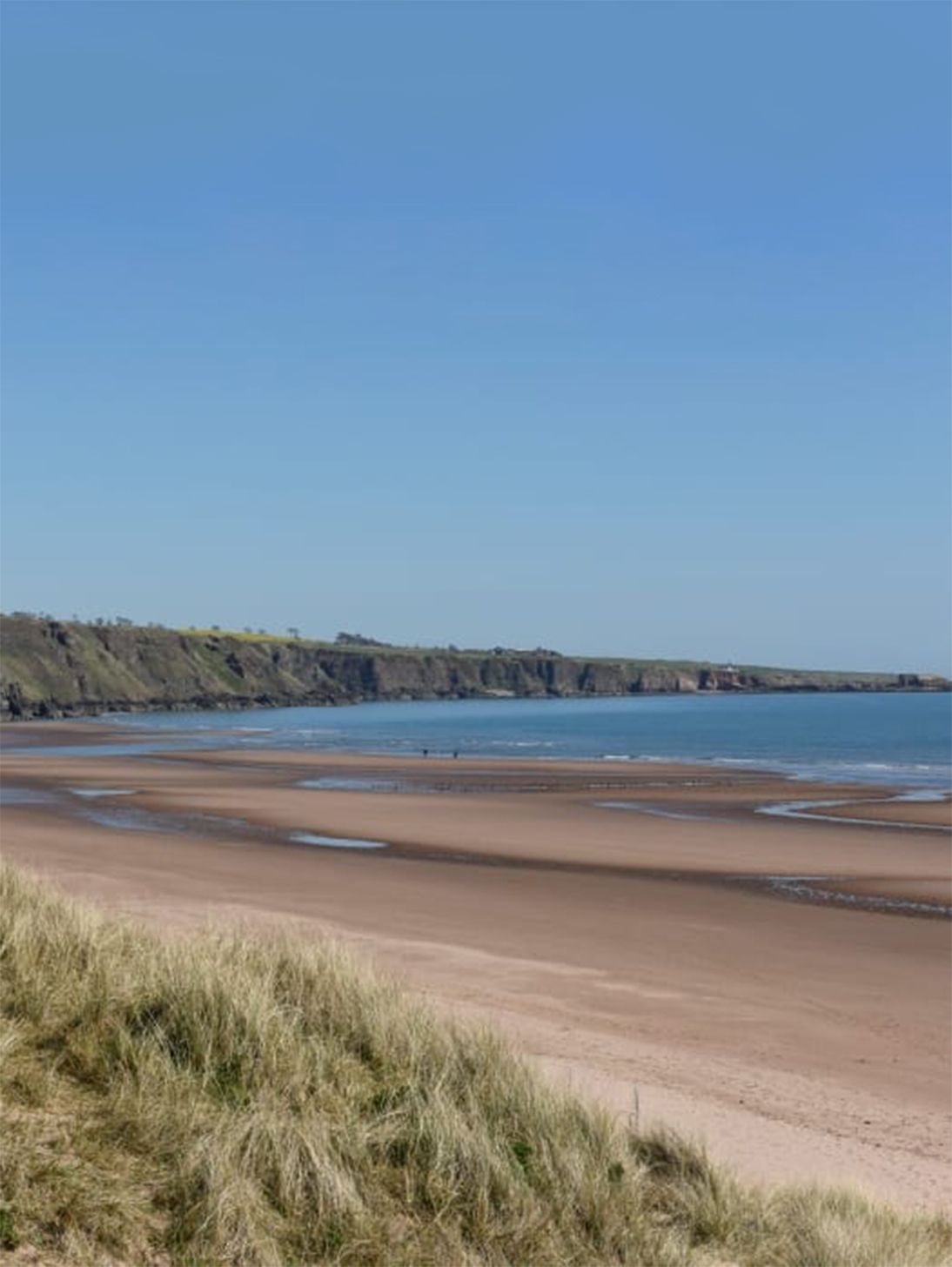  Photo of Lunan bay taken from the top of dunes looking north towards the lime kilns.