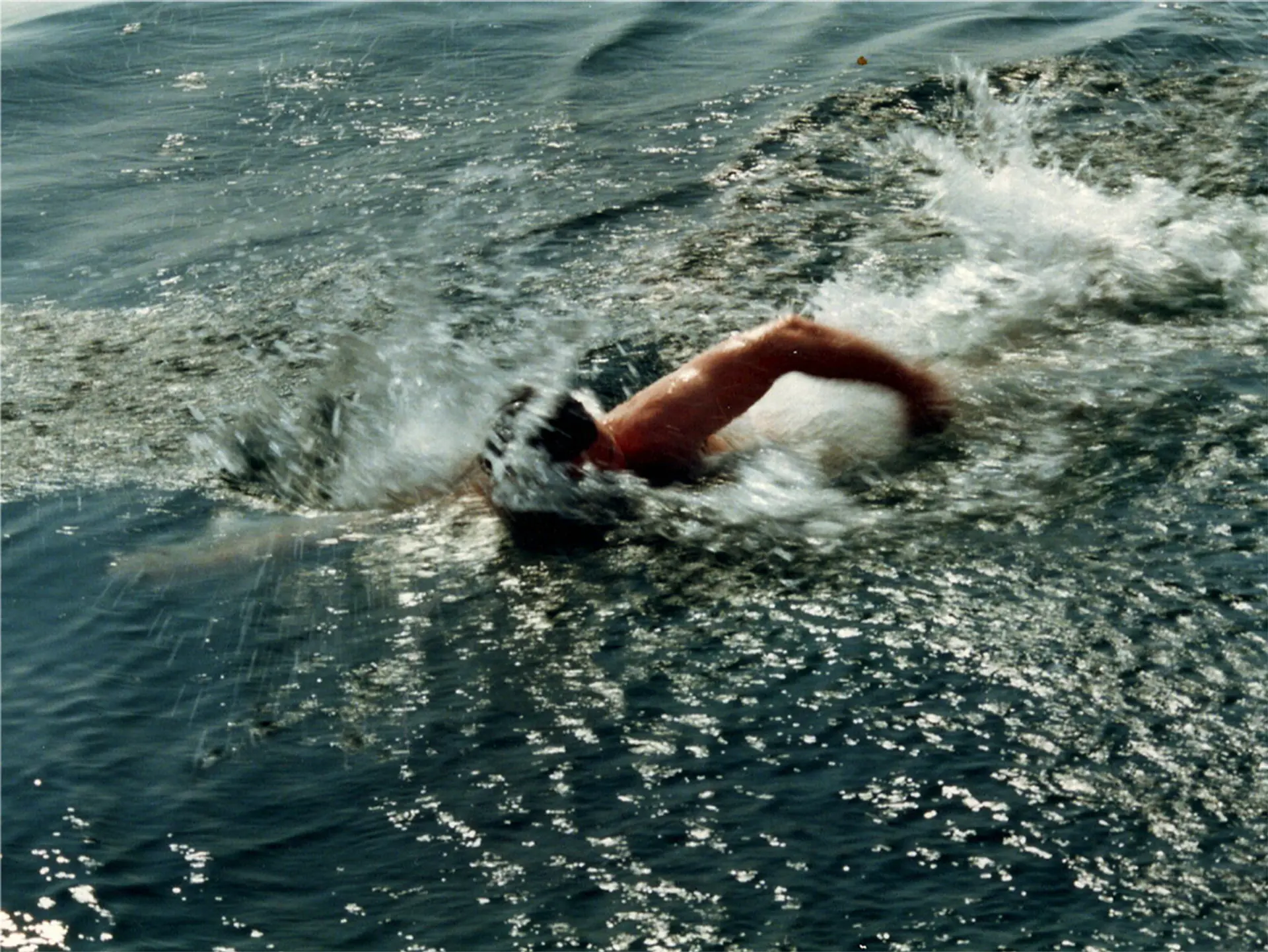 An image of someone swimming in the sea. They are doing the front crawl and their head is in the water, they are making splashes in the water. 