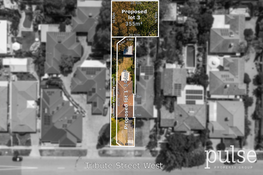 3/42 Tribute Street West